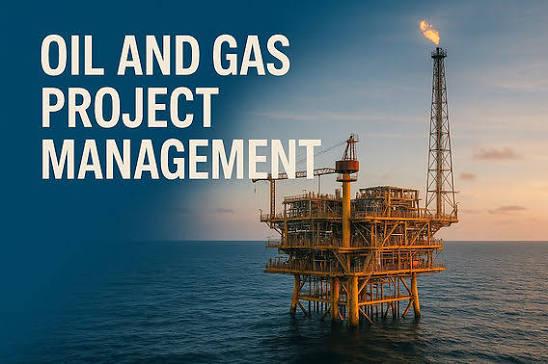 Professional Oil & Gas project management